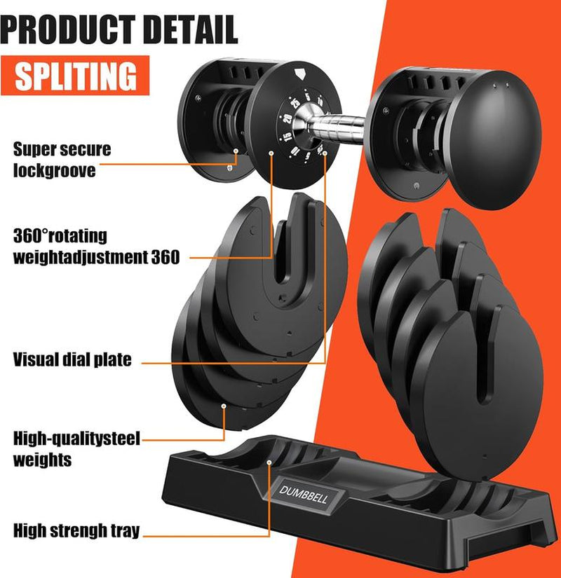 Full Body Workout