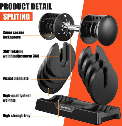 Full Body Workout